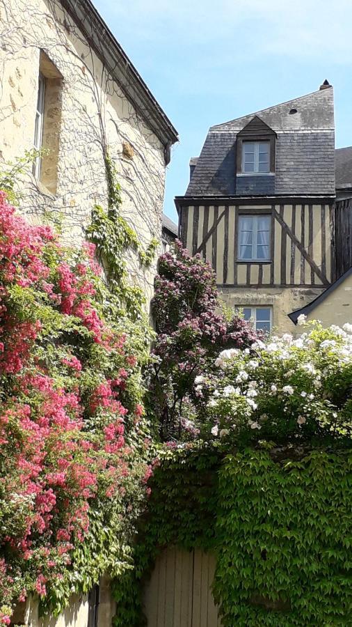 Petite Maison Romantique Au Calme, Coeur Historique Plantagenet, Vue Ville Le Mans Ngoại thất bức ảnh
