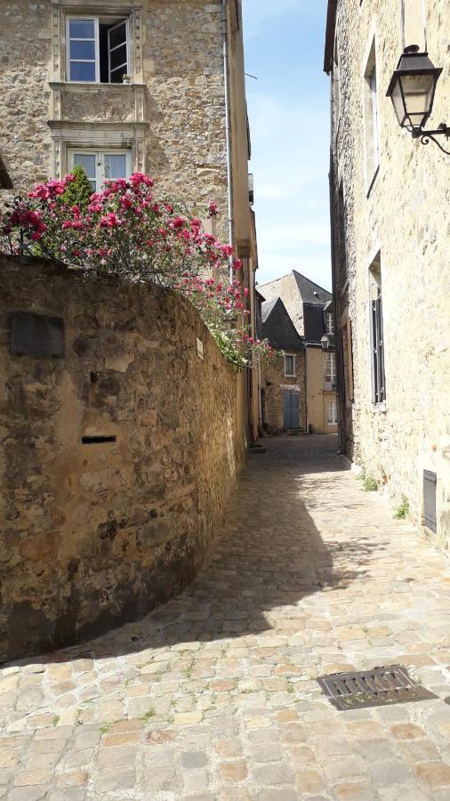 Petite Maison Romantique Au Calme, Coeur Historique Plantagenet, Vue Ville Le Mans Ngoại thất bức ảnh
